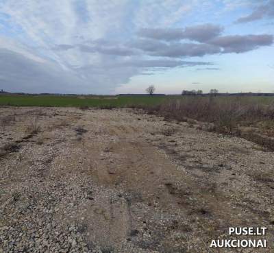 Žemės sklypas Pasvalio rajone, Kalno kaime 5804 EUR pradinė kaina - aukcionas