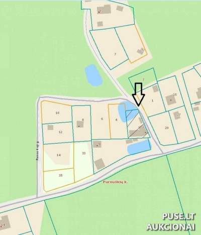 Žemės ūkio sklypas Vilniaus rajone, Purnuškių k., 106980 EUR, su vandens telkiniu ir namo pamatais