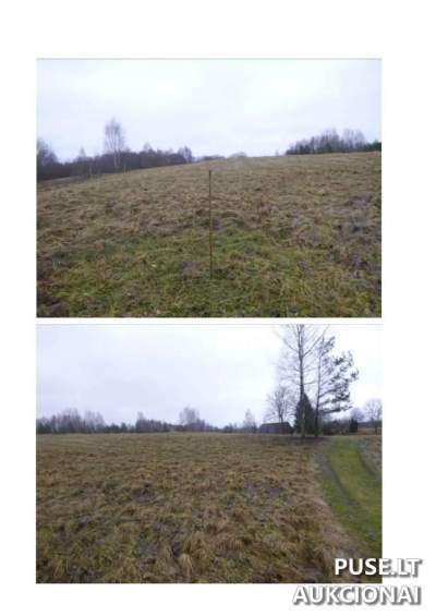 Parduodamas 1.42 ha žemės ūkio sklypas Utenos rajone, Asmalų kaime, 3520 EUR kaina