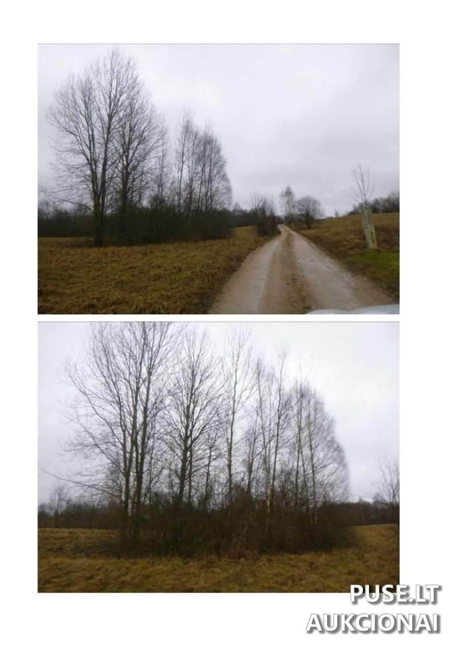 Žemės sklypas Sklypai Utena District Municipality, Lithuania 3