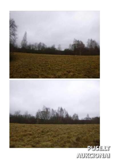 Parduodamas 1.58 ha žemės ūkio sklypas Utenos r. sav., Asmaliuose, pradinė kaina 3920 EUR