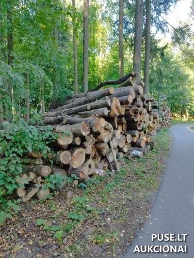 Malkinė mediena 259 kub. m Šilutės rajone, pradinė kaina 3185 EUR - Parduodama aukcione