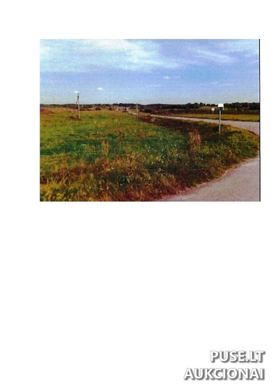 Žemės sklypas Sklypai Intuponys, 59366 Prienai District Municipality, Lithuania 1