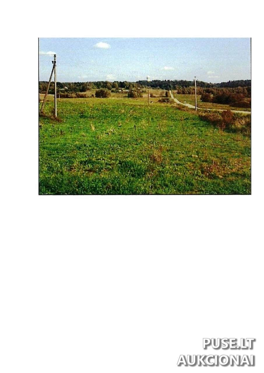 Žemės sklypas Sklypai Intuponys, 59366 Prienai District Municipality, Lithuania 2