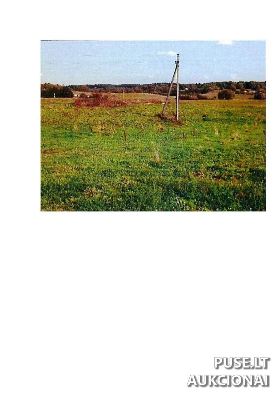Žemės sklypas Sklypai Intuponys, 59366 Prienai District Municipality, Lithuania 3