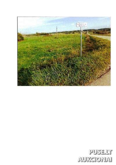 Žemės sklypas Prienų rajone, Intuponių kaime, pradinė kaina 5760 EUR - Pirmosios pakartotinės varžytynės
