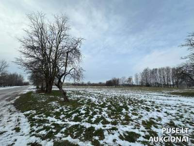 Valstybinės žemės nuomos aukcionas Šiauliuose, Dubijos g. 20I, pradinė kaina 2244 EUR
