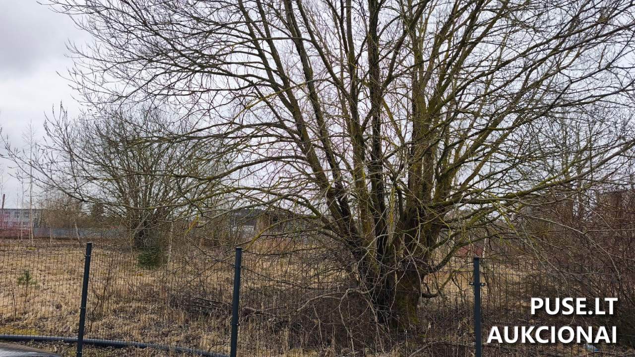 Žemės sklypas Sklypai Mažeikių g. 16F, Telšiai, 87101 Telšių r. sav., Lithuania 2