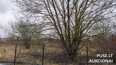 Valstybinės žemės sklypo pardavimas Telšiuose Mažeikių g. 16F, pradinė kaina 22782 EUR