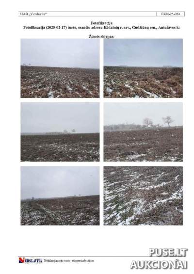 Parduodamas žemės sklypas Kėdainių r. sav. Antušavos k. su 1/1 dalimi, pradinė kaina 11200 EUR
