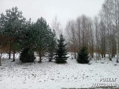 Valstybinis žemės sklypas Rokiškio mieste, Serapiniškių g. 8, pradinė kaina 8113 EUR