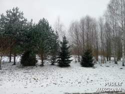Sklypai - Žemės sklypas