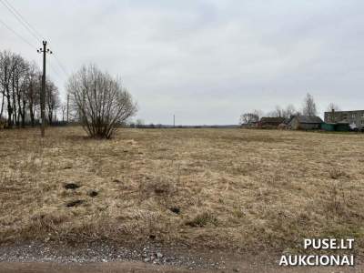 Valstybinės žemės sklypas Telšių r. sav., Pavandenės mstl. su 4812 EUR pradine kaina