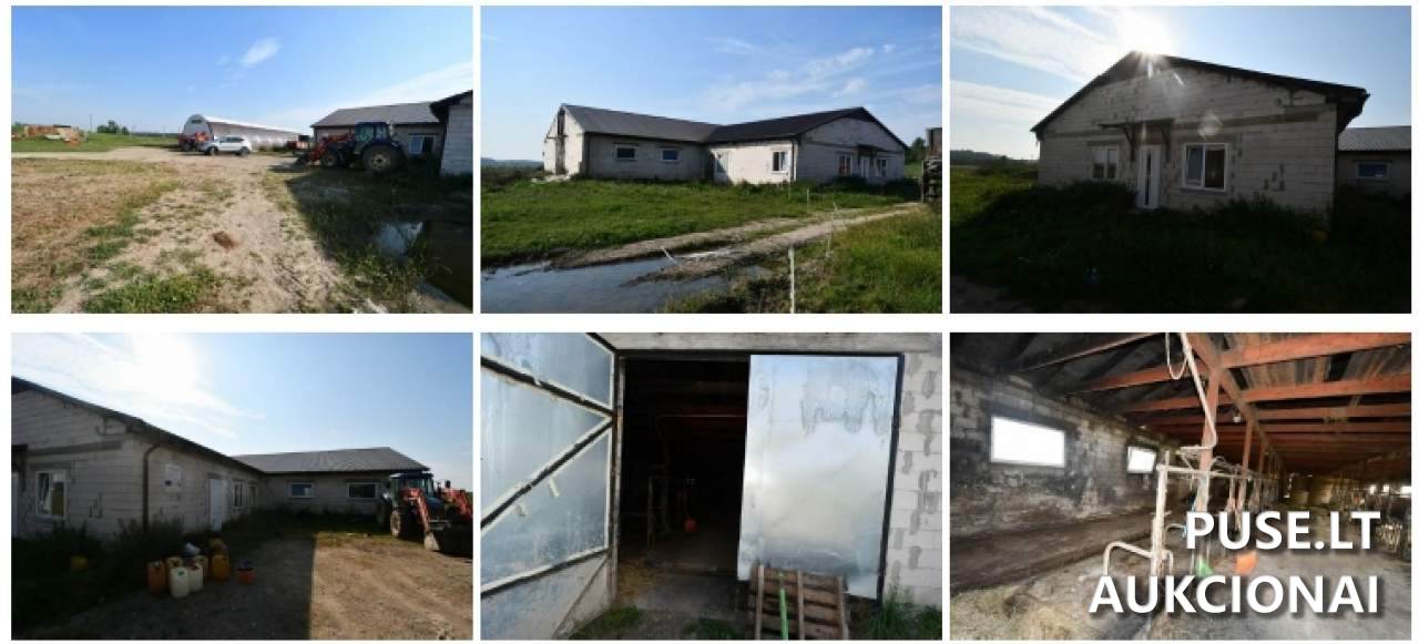 Žemės sklypas Sklypai Beržų gatvė 5, 20240 Krikštėnai, Lithuania 3