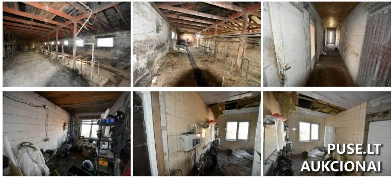 Žemės sklypas Sklypai Beržų gatvė 5, 20240 Krikštėnai, Lithuania 4