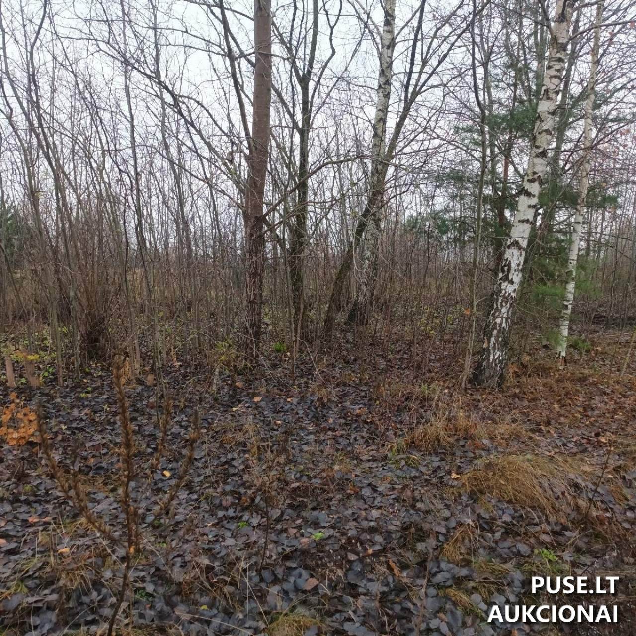 Nuomojamas turtas: Žemės sklypas Sklypai Pušyno g. 22, 72200 Tauragė, Lithuania 1