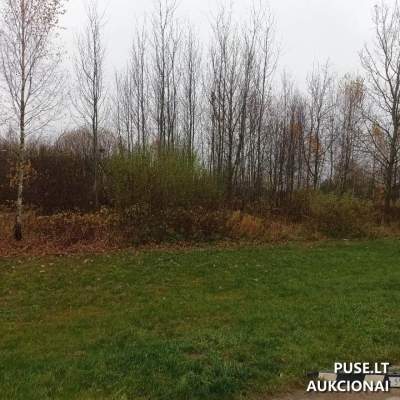 Valstybinės žemės sklypo nuoma Tauragėje, Pušyno g. 22, pradinė kaina 833 EUR