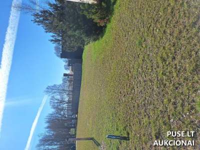 Valstybinės žemės sklypas Tauragės mieste, Pušyno g. 1D, pradinė kaina 5170 EUR