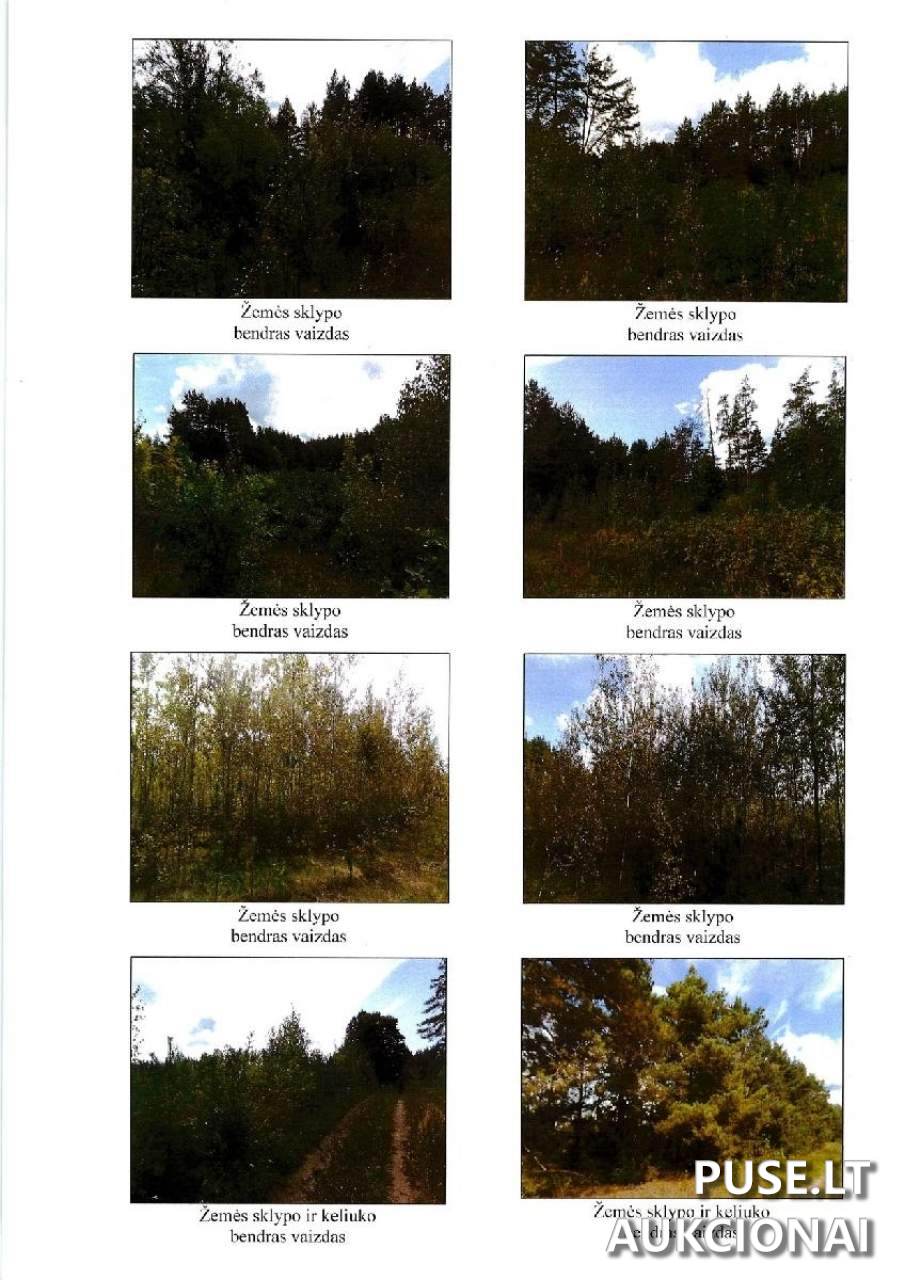 Žemės sklypas Sklypai Lazdijai District Municipality, Lithuania 3