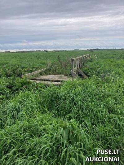 Tiltas Nr.19 parduodamas aukcione pradine kaina 771 EUR - Kitas turtas