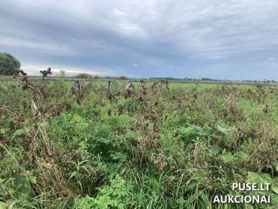 Parduodamas tiltas Nr.18 (Kitas turtas) pradine kaina 415 EUR - greitas pardavimas