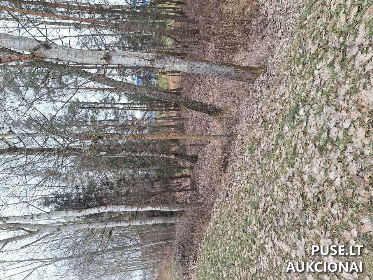 Nuomojamas turtas: Žemės sklypas Sklypai Linų g. 73A, Ukmergė, 20174 Ukmergės r. sav., Lithuania 2