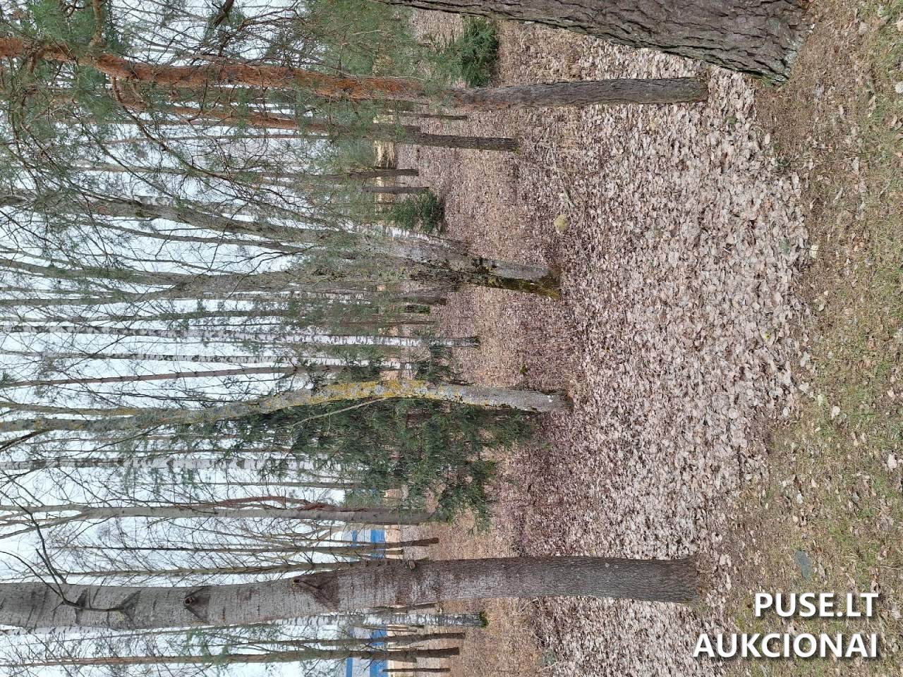 Nuomojamas turtas: Žemės sklypas Sklypai Linų g. 73A, Ukmergė, 20174 Ukmergės r. sav., Lithuania 3
