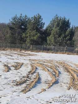 Sklypai - Nuomojamas turtas: Žemės sklypas