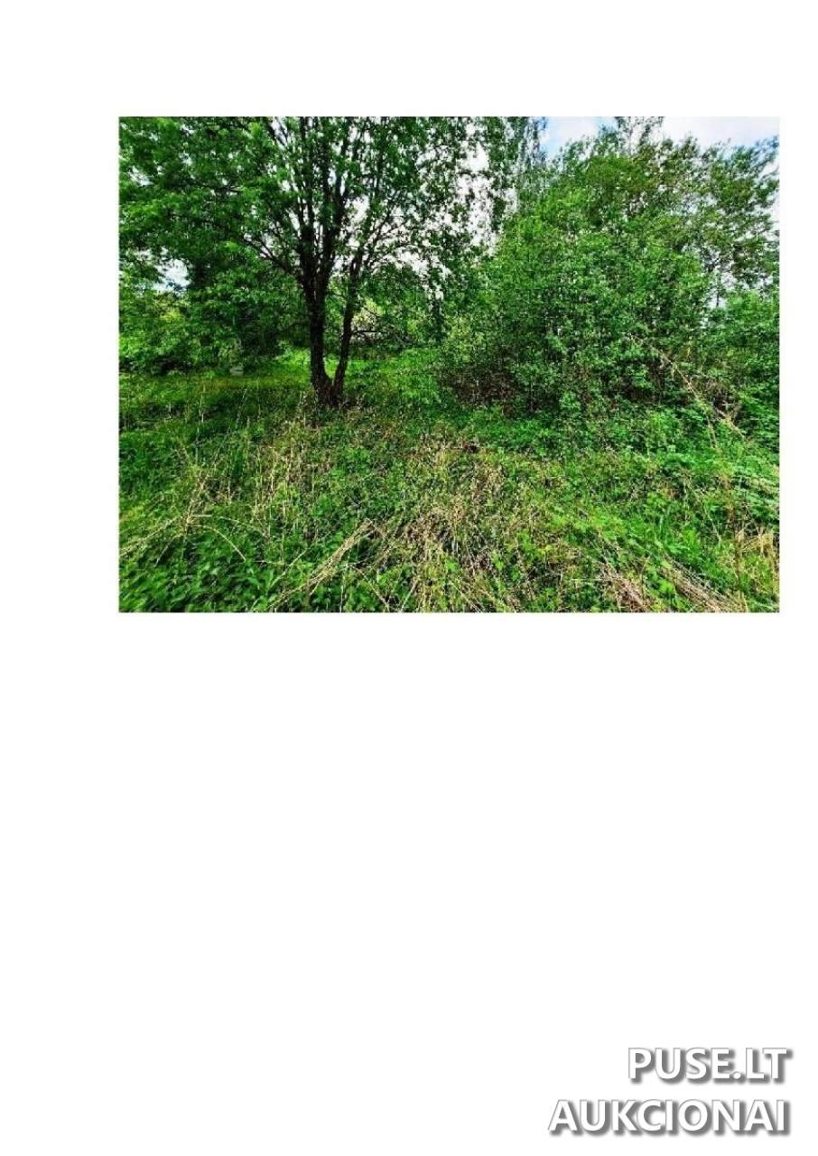 Žemės sklypas Sklypai Pievų g. 9, Gečialaukis, 64206 Alytaus r. sav., Lithuania 3