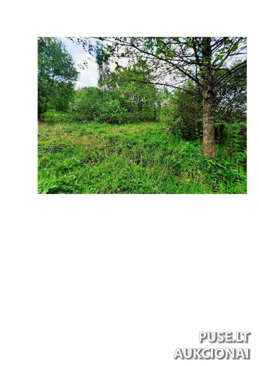 Žemės sklypas Sklypai Pievų g. 9, Gečialaukis, 64206 Alytaus r. sav., Lithuania 4
