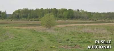 Parduodamas 0.44 ha žemės ūkio sklypas Trakų rajone, Senojo Tarpupio kaime, pradinė kaina 4370 EUR