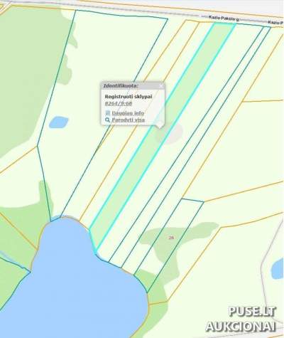 Žemės ūkio paskirties sklypas Utenos rajone, Bikuškio kaime, 0.92 ha, pradinė kaina 12000 EUR