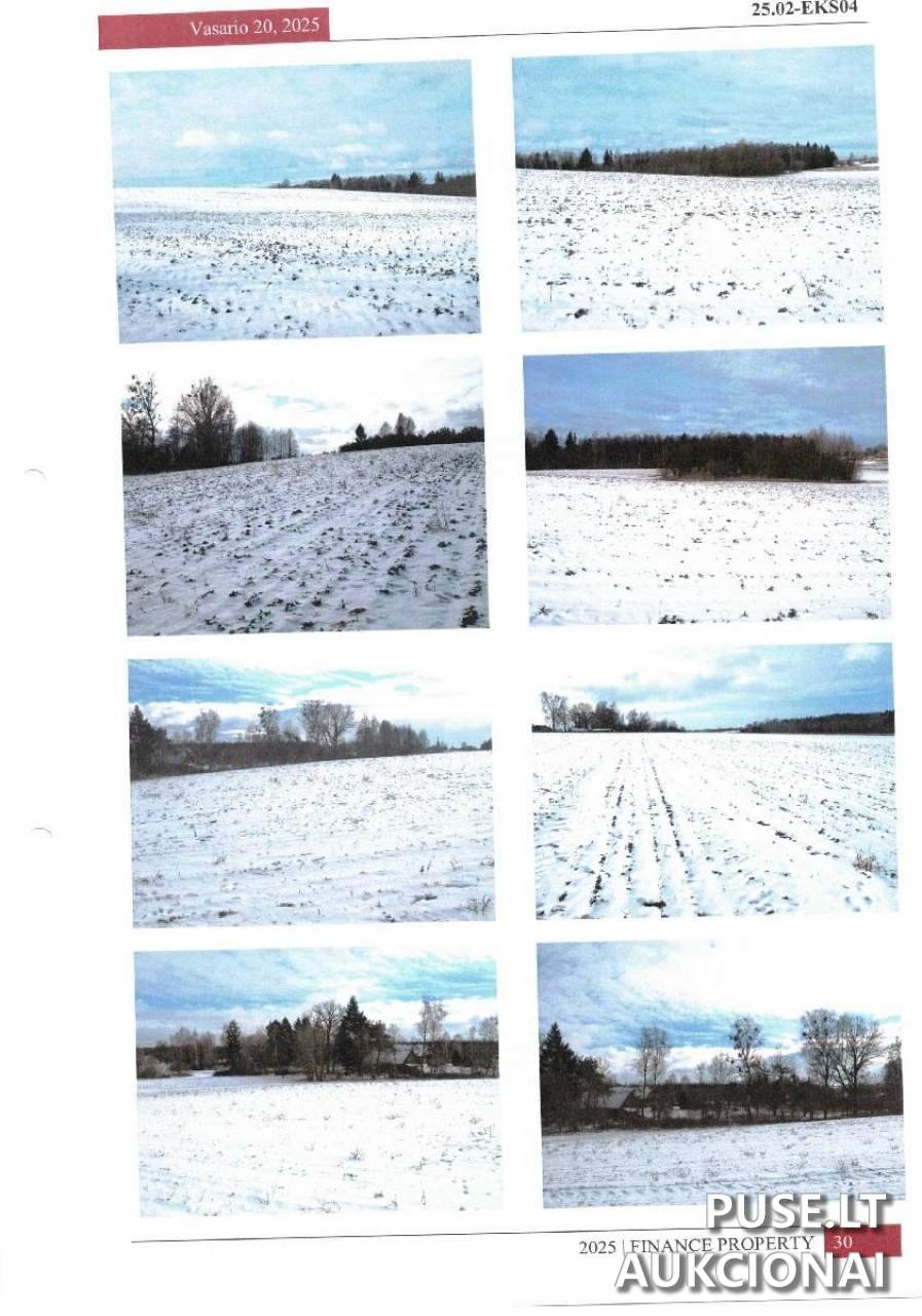 Gyvenamasis namas Pastatai Neries g. 2A, 56404 Mikalaučiškės, Lithuania 4