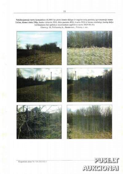 Žemės sklypo ir pastatų dalis (1/3) Prienų rajone, Pečiauskų kaime, Ežero g. 18, pradinė kaina 1320 EUR
