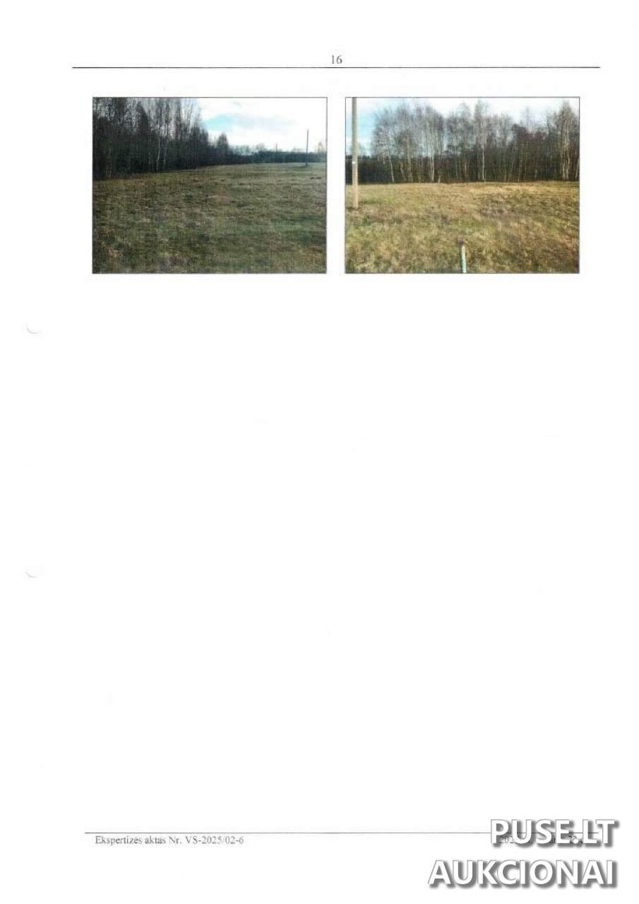 Žemės sklypas Sklypai Pečiauskai, 59338 Prienai District Municipality, Lithuania 1
