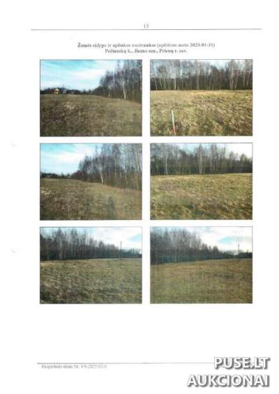 Parduodama 112/1406 dalis žemės ūkio sklypo Prienų rajone, Pečauskų kaimo vietoje už 27 EUR