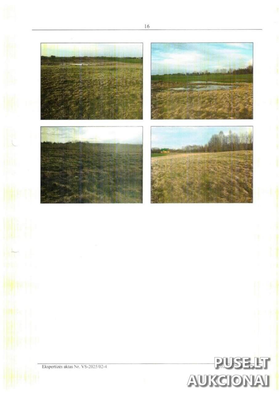 Žemės sklypas Sklypai Pečiauskai, 59338 Prienai District Municipality, Lithuania 1