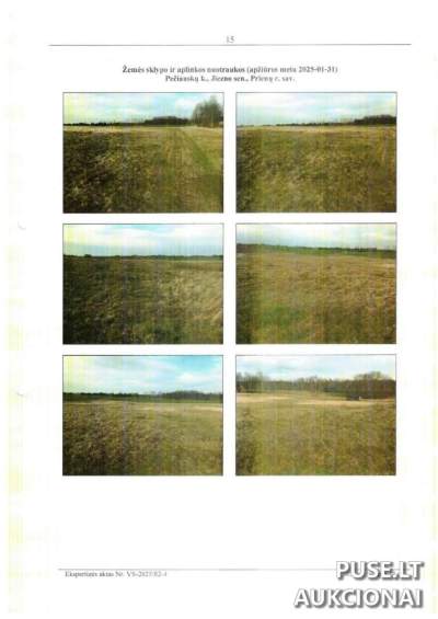 Žemės ūkio paskirties žemės sklypo dalis Prienų r. sav., Pečiauskų k. 218 EUR, varžytynės