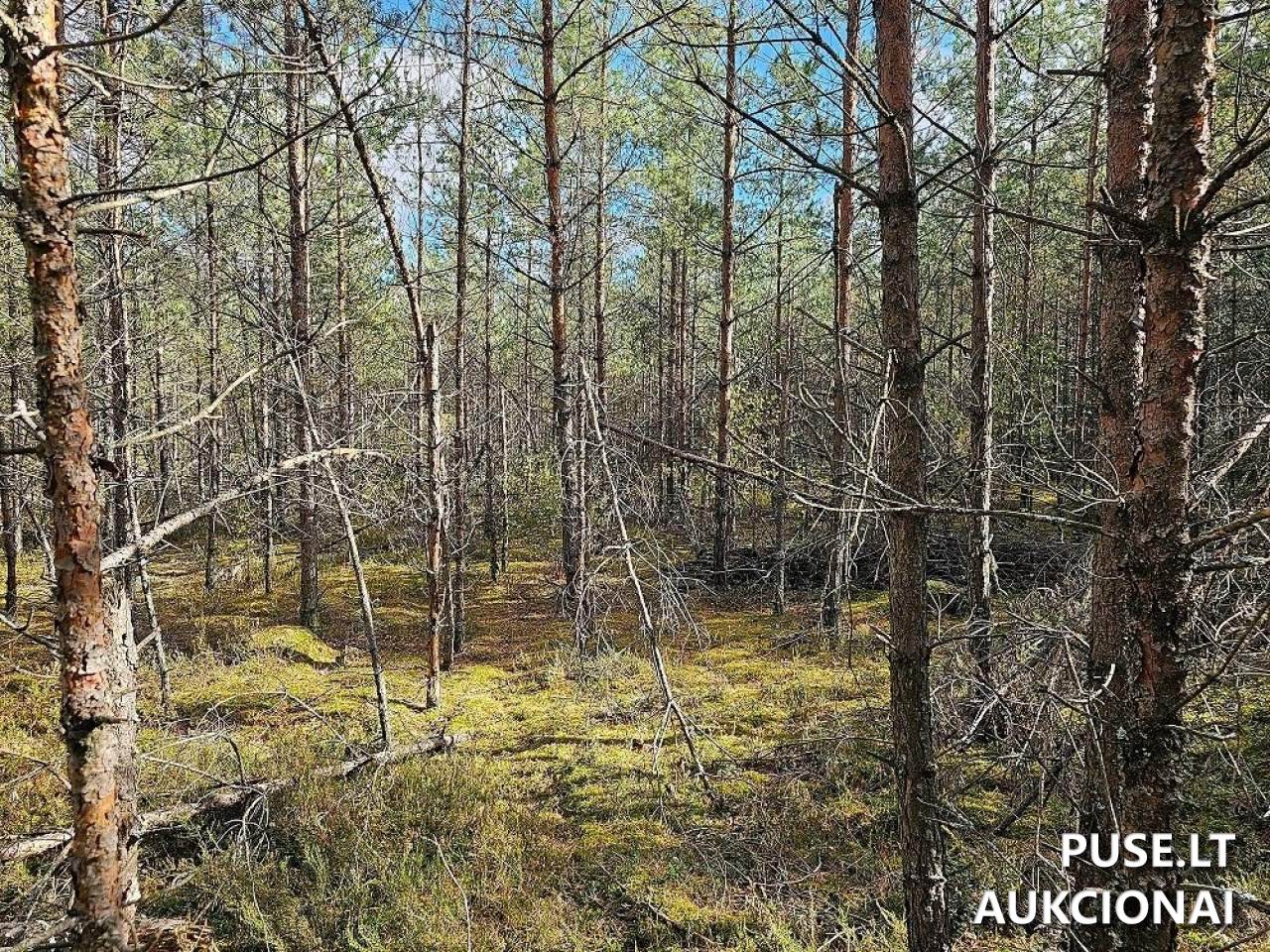 Žemės sklypas Sklypai Šalčininkai District Municipality, Lithuania 6