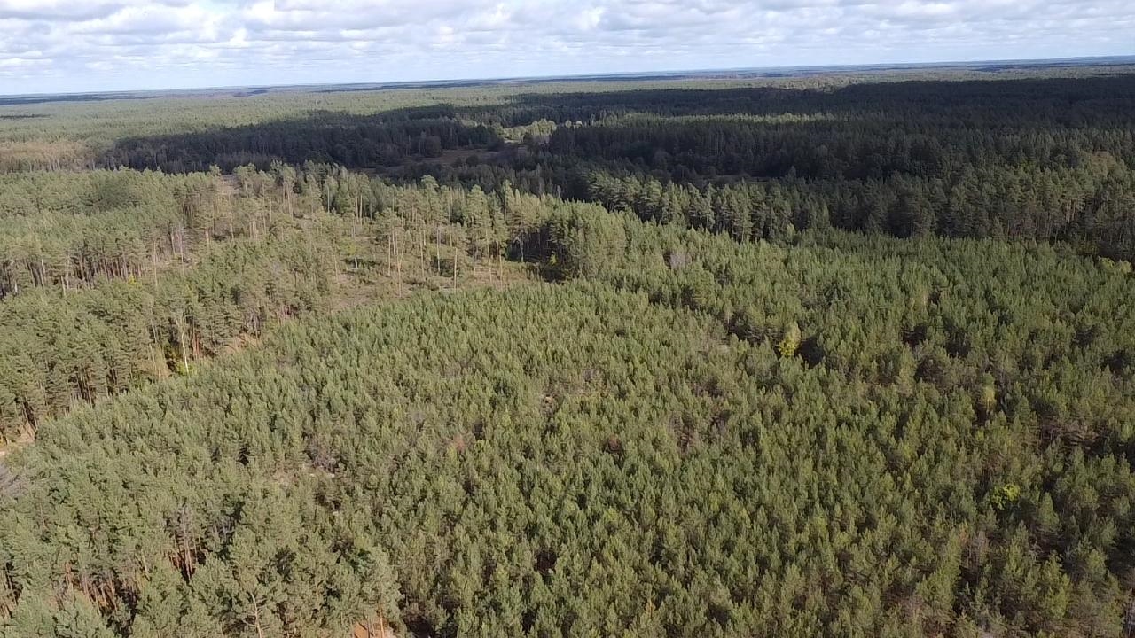 Žemės sklypas Sklypai Šalčininkai District Municipality, Lithuania 8