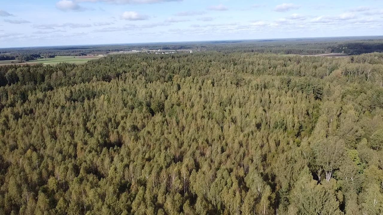 Žemės sklypas Sklypai Šalčininkai District Municipality, Lithuania 9