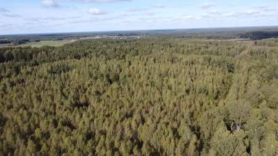 Žemės ūkio paskirties sklypas Šalčininkų r. 10.34 ha su daliniu mišku 6840 EUR