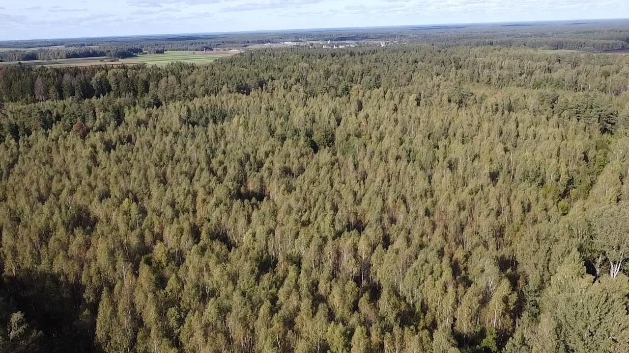 Žemės sklypas Sklypai Šalčininkai District Municipality, Lithuania 1