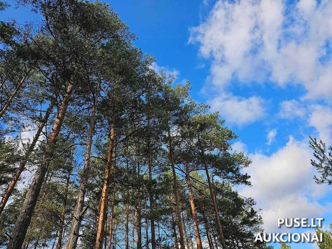Žemės sklypas Sklypai Šalčininkai District Municipality, Lithuania 3
