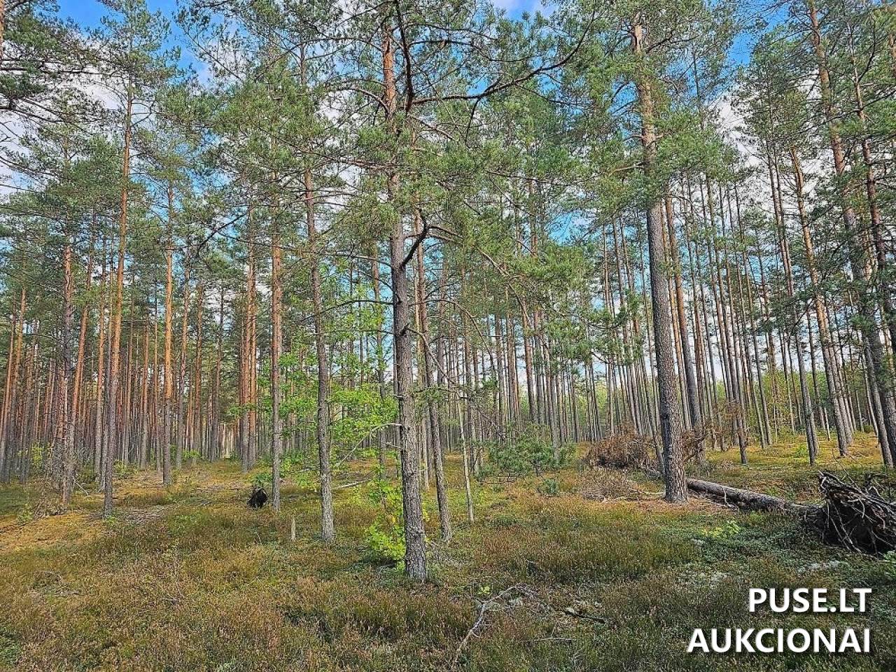 Žemės sklypas Sklypai Šalčininkai District Municipality, Lithuania 5