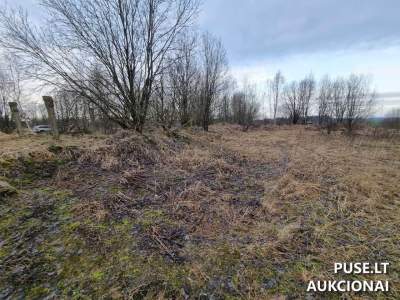 Kelių aukštų karvidė Plungės rajone, Kėkštų kaime, pradinė kaina 3963 EUR