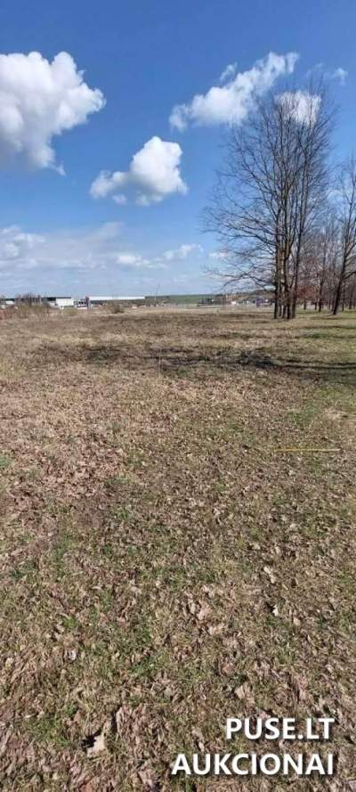 Valstybinės žemės sklypo aukcionas Elektrėnuose, Sabališkių g. 1B, pradinė kaina 140050 EUR