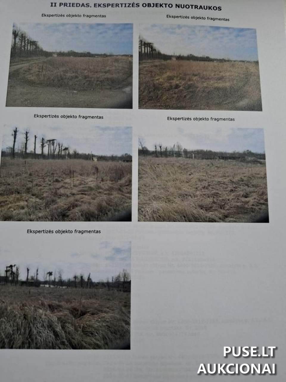 Žemės sklypas Sklypai Domantų g. 21, Pajiesys, 53293 Kauno r. sav., Lithuania 1