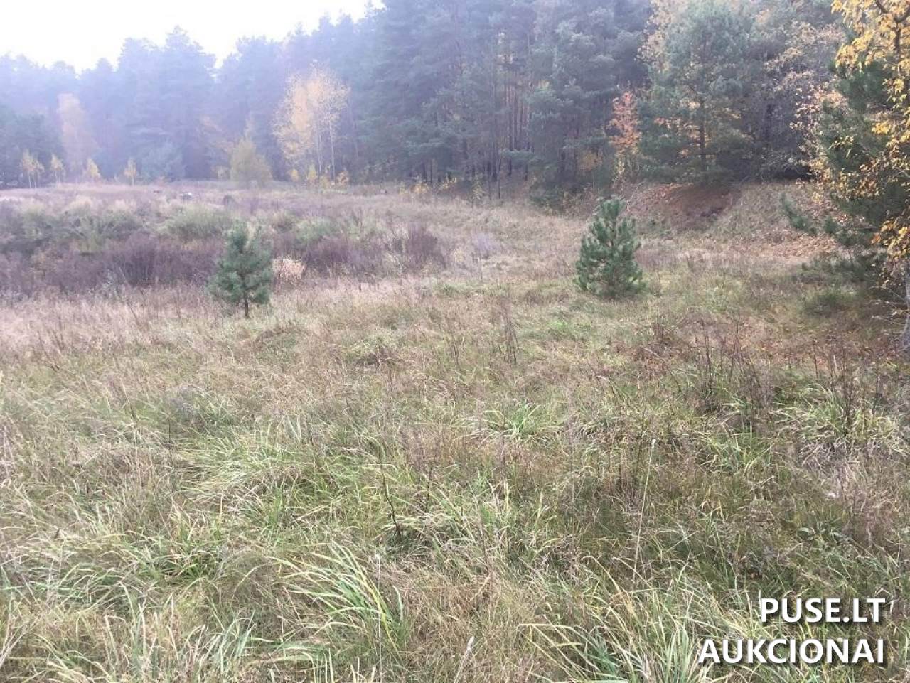 Žemės sklypas Sklypai Ginučių g. 40A, Ginučiai, 30222 Ignalinos r. sav., Lithuania 2