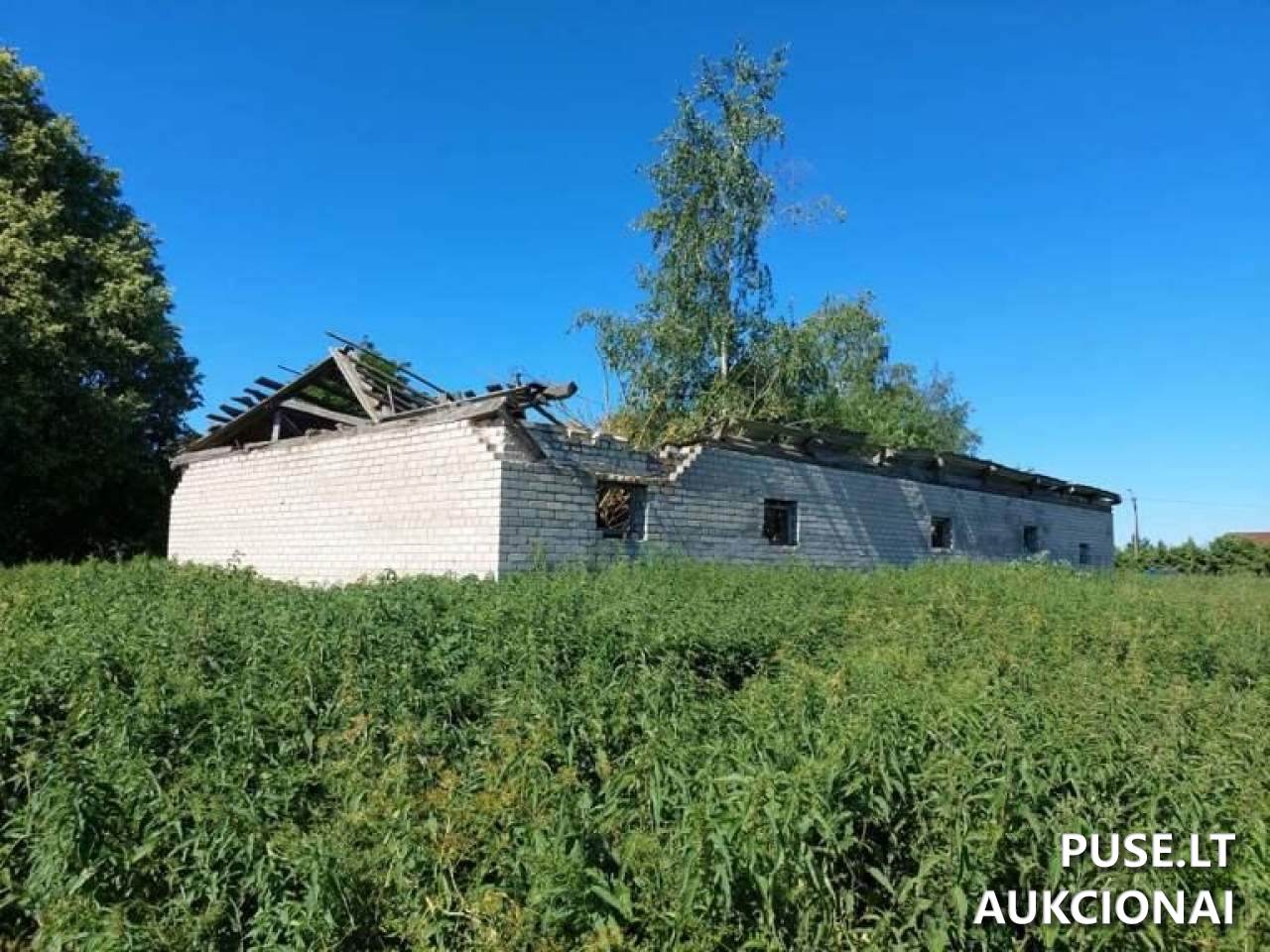 Butas Patalpos/Butai Ievų gatvė 8, 80101 Eimučiai, Lithuania 7